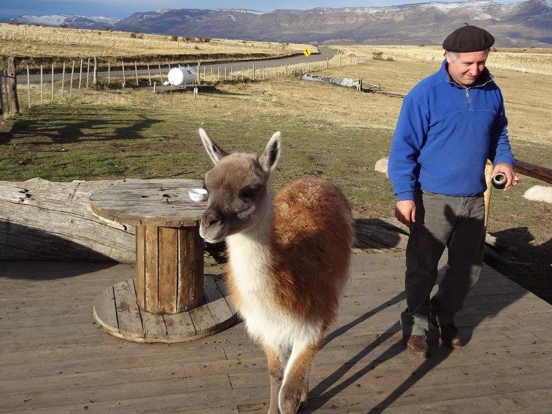 Excursión en 4x4 hacia el Cerro Huyliche en El Calafate